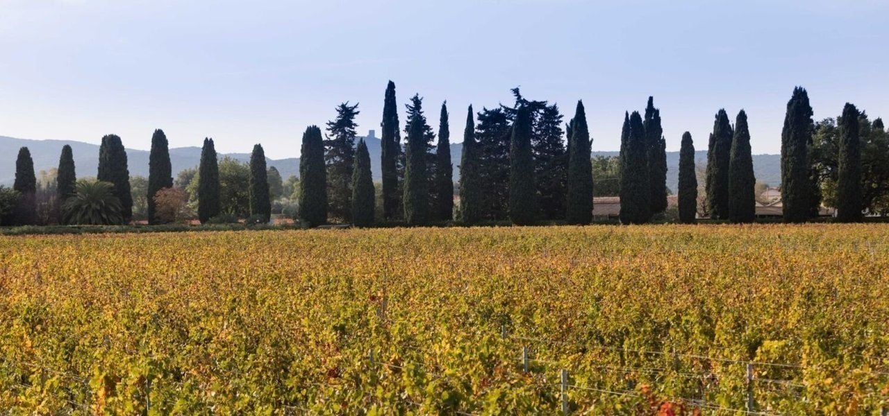 Nature at Campo Alle Comete